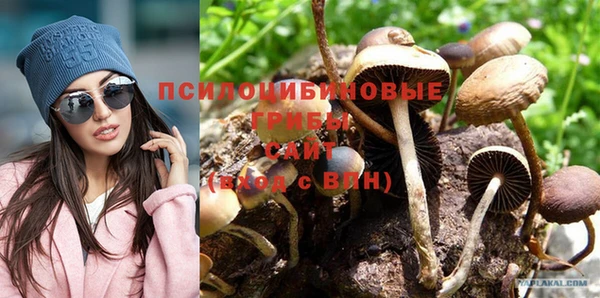 кокс Алексеевка