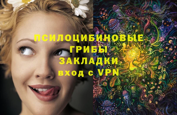 не бодяженный Алзамай