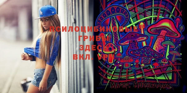не бодяженный Алзамай